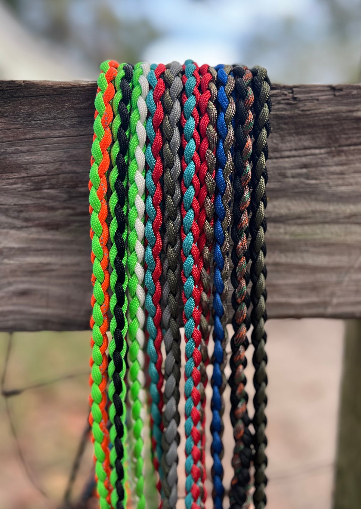5 foot tree lead